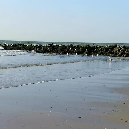 Sunny Bank Westende Zeezicht Апартаменты *